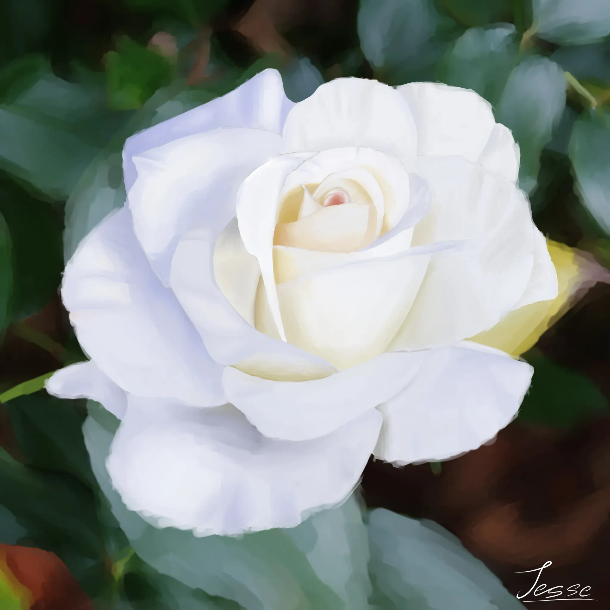 White Jasmine
